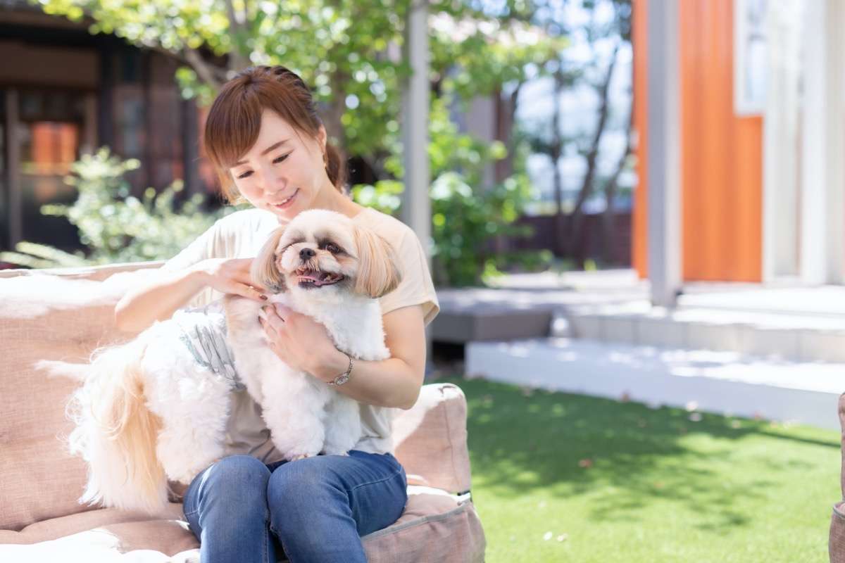 ペットリフォーム・リノベーション方法！犬や猫ペットと暮らす悩み解消法や注意点を解説！<br>【名古屋でリノベーションのことなら株式会社ロルフ】